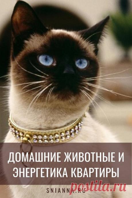 ДОМАШНИЕ ЖИВОТНЫЕ И ЭНЕРГЕТИКА КВАРТИРЫ

По древнему китайскому учению – домашние любимцы активно влияют на энергетику квартиры. Они уравновешивают отрицательную энергию Ша и способствуют укреплению семейных связей. Только надо знать, кого заводить и, как и где содержать. Кликайте на фото, чтобы прочитать ⤴