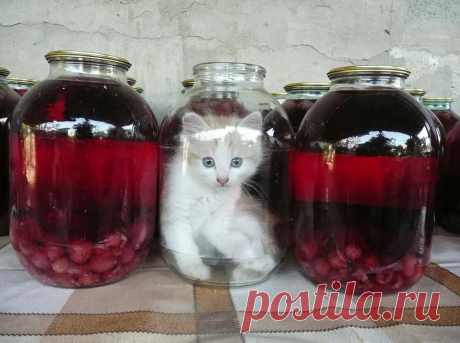 а мне проще - я никуда не лечу!