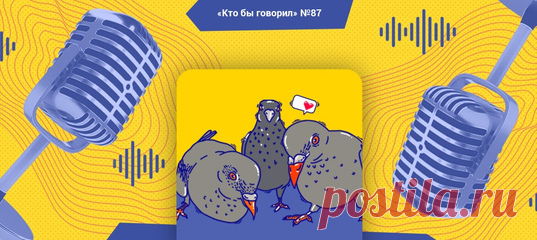 Полина, Даша и Катя (а кто это?) — о мечтах, дне рождения «Википедии» и хамстве на работе.