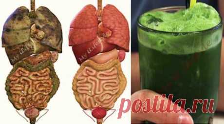 Этот супер зеленый детокс-напиток удалит все ТОКСИНЫ и жир из вашего тела — Домашний уют