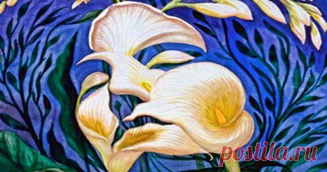 Ответьте, что вы видите на картинках - и мы подскажем вашу истинную профессию