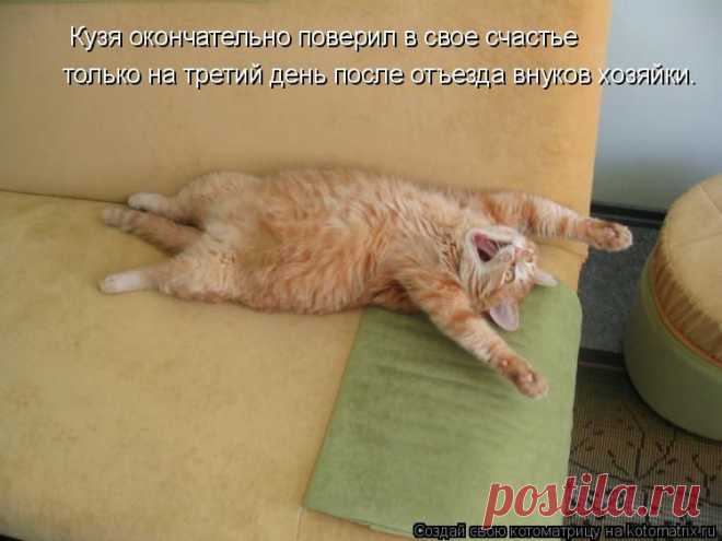 kotomatritsa_0l.jpg (Изображение JPEG, 750 × 562 пикселов)