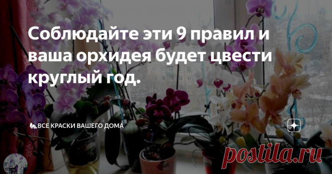 Соблюдайте эти 9 правил и ваша орхидея будет цвести круглый год. Сегодня мы поговорим о правилах правильного ухода за орхидеей.
Редкий цветовод способен устоять перед очарованием цветущей орхидеи. Однако цветок этот очень капризен — может перестать радовать цветением владельца без надлежащего ухода.