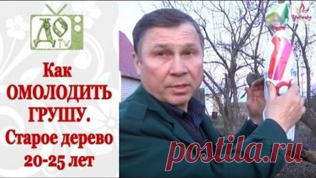 (19) Одноклассники