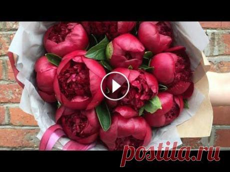 Как я делаю Пионы из холодного фарфора / Пионы процесс работы Как я делаю Пионы из холодного фарфора / Пионы процесс работы...