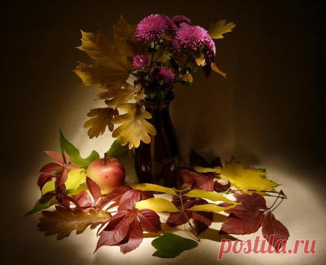 Натюрморты С первым днем осени