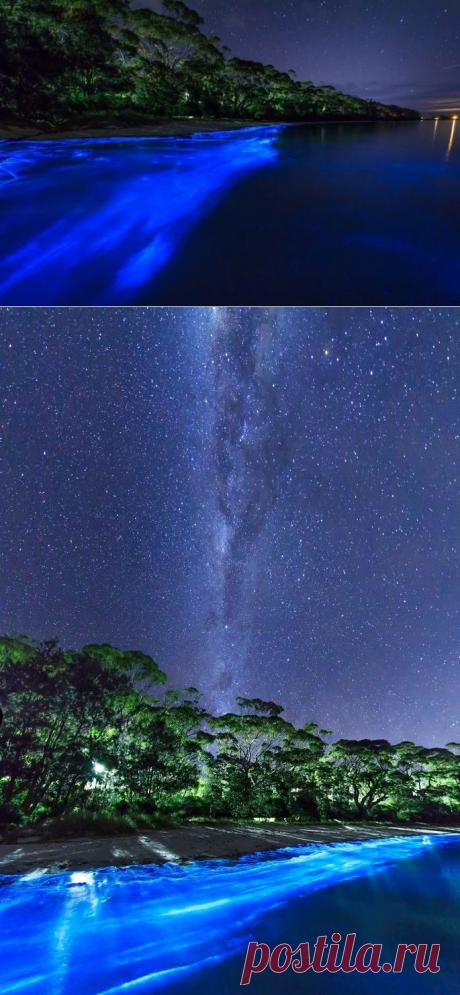 Южный Уэльс, светящийся планктон / Туристический спутник