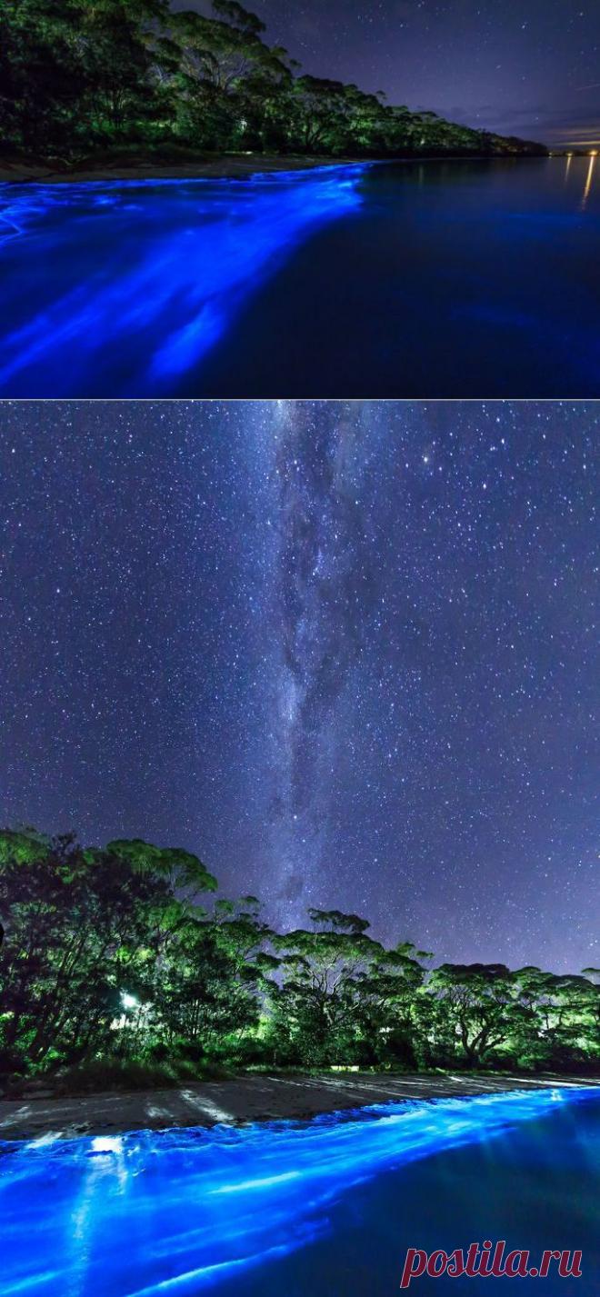 Южный Уэльс, светящийся планктон / Туристический спутник