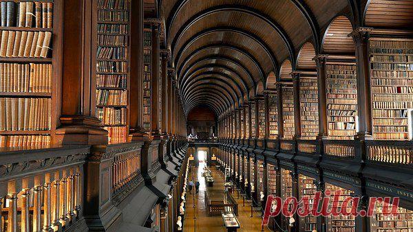 Библиотека