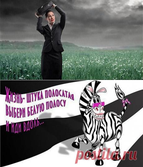 В жизни чёрная полоса? Меняем её на белую!.
