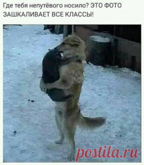 «По-моему, это огромная глупость - "работа на дому"... Моя семья не очень-то этому рада... Иннокентий, 41 год, патологоанатом...» - медиаплатформа МирТесен