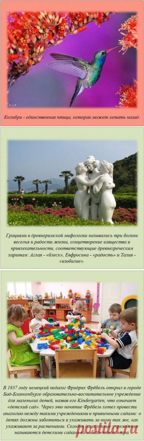 Знаете ли Вы, что настоящий сыр &amp;quot;Рокфор&amp;quot; делают только в одном месте - к югу от Центрального Массива в районе исторической провинции Руэрг во Франции из овечьего молока?
Еще много интересных цитат и фактов в картинках.
