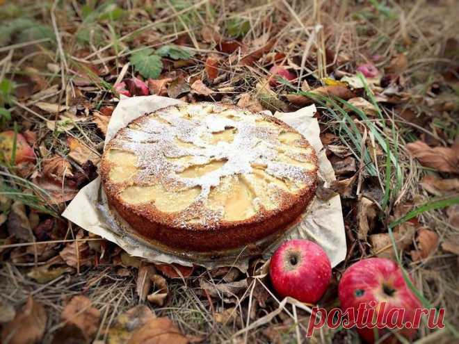 Шарлотка с яблоками - Простые рецепты Овкусе.ру
