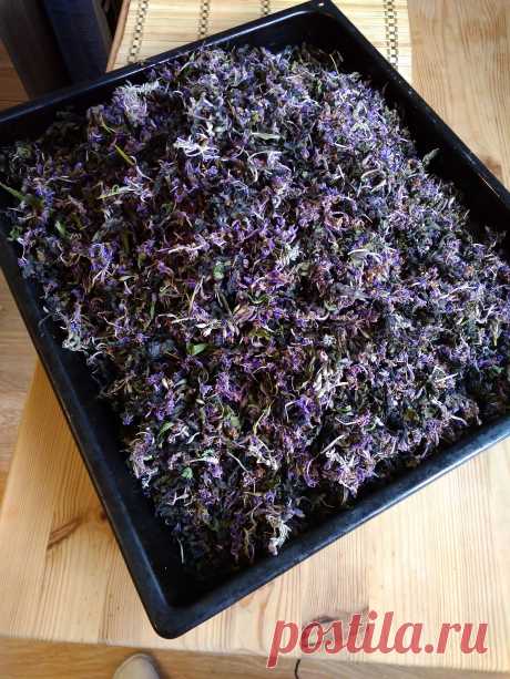 Урожай этого года