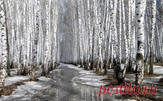 (99) Одноклассники