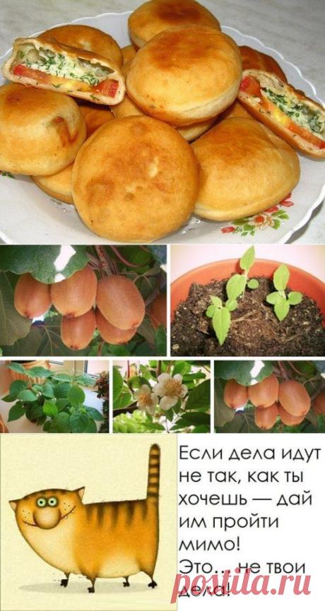 Сообщество для Девушек =))