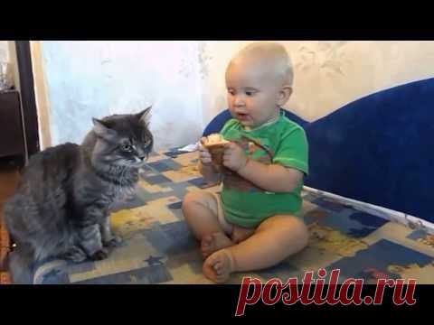 Кот и малыш!!!!!!!!! Одна булка на двоих