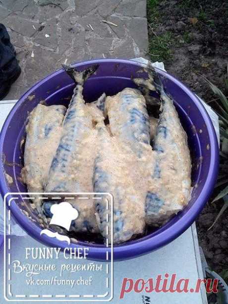 Скумбрия на мангале 🐟🐟🐟 / Прекрасные моменты