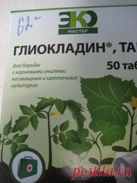 Чем лечить растения | Самоцветик