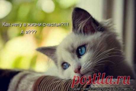 Счастье в жизни