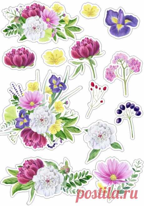 (24) Pinterest