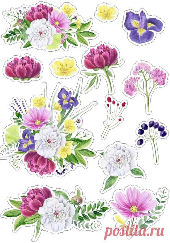 (24) Pinterest