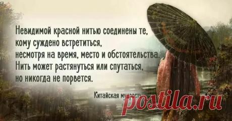 когда мне навязывают китайская мудрость: 1 тыс изображений найдено в Яндекс.Картинках
