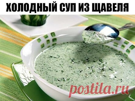 Холодный суп из щавеля ПО ИДЕАЛЬНОМУ РЕЦЕПТУ