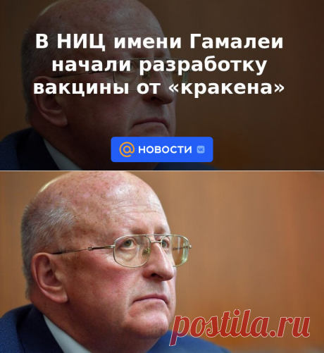 В НИЦ имени Гамалеи начали разработку вакцины от кракена | 13 января 2023 - Новости Mail.ru