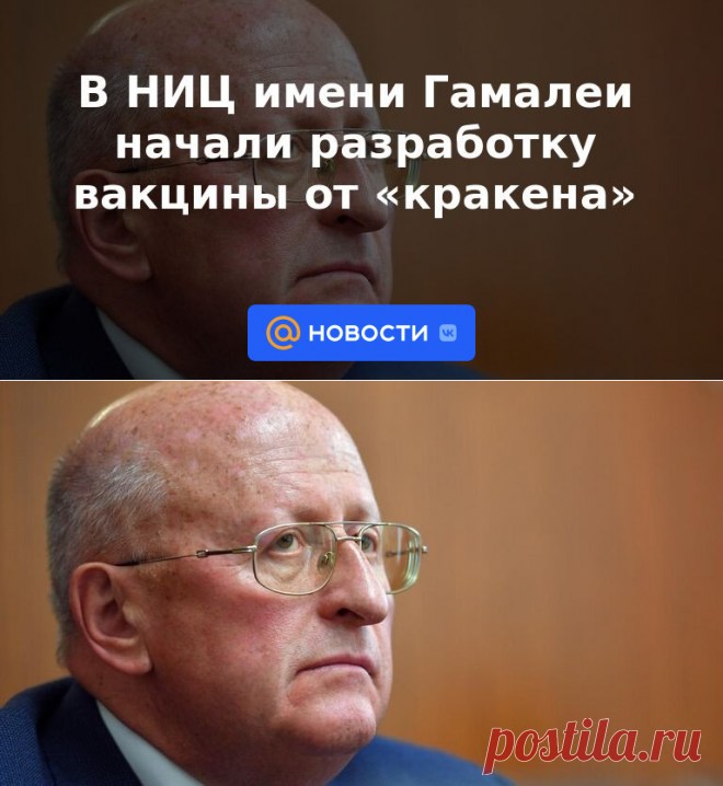 В НИЦ имени Гамалеи начали разработку вакцины от кракена | 13 января 2023 - Новости Mail.ru