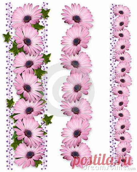 (24) Pinterest