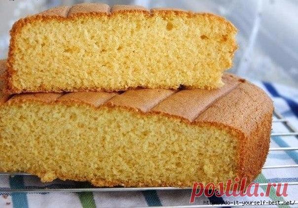 Бисквит на горячем молоке | Четыре вкуса