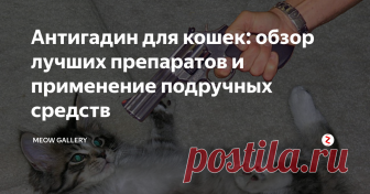 Антигадин для кошек: обзор лучших препаратов и применение подручных средств По аналогии с тем, как памперсами стали называть все одноразовые подгузники, а ксероксами - любые копировальные аппараты, сложилась традиция подразумевать под антигадином различные составы, цель которых - вызывать у домашнего питомца стойкое отвращение к месту или вещи, которые он облюбовал для справления нужды.
Качественные средства содержат и антибактериальные компоненты, благодаря действию кото