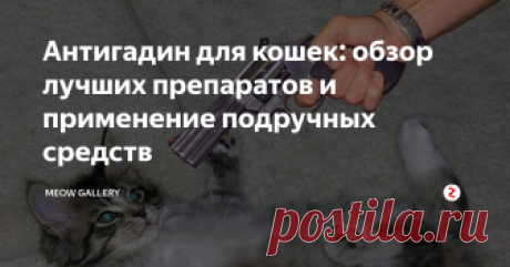 Антигадин для кошек: обзор лучших препаратов и применение подручных средств По аналогии с тем, как памперсами стали называть все одноразовые подгузники, а ксероксами - любые копировальные аппараты, сложилась традиция подразумевать под антигадином различные составы, цель которых - вызывать у домашнего питомца стойкое отвращение к месту или вещи, которые он облюбовал для справления нужды.
Качественные средства содержат и антибактериальные компоненты, благодаря действию кото