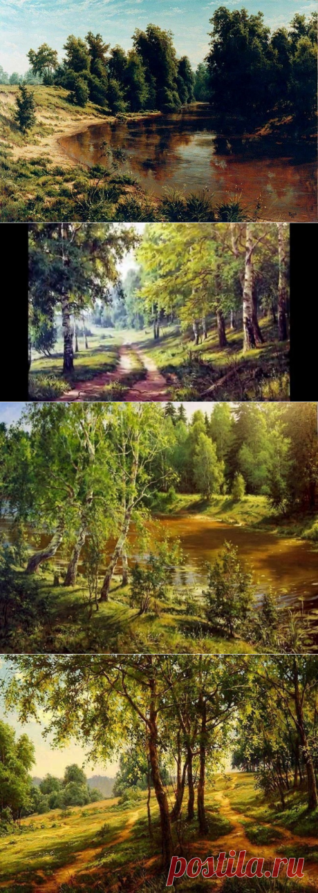Художник Сергей Басов