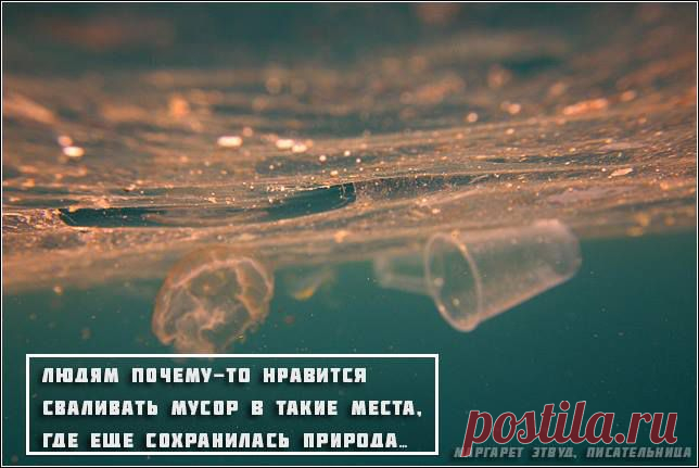 Обычный выброшенный под куст окурок разлагается более 10 лет. Пластиковая бутылка - примерно 450 лет, а банка из-под газировки пару веков. Спасите мир от своего мусора! Отдайте его на переработку: http://recyclemap.ru/