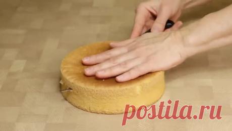 Идеальный Классический Бисквит Все Секреты 🍰