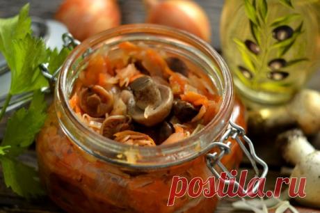 Грибная солянка на зиму Грибная солянка с капустой на зиму – вкуснейший рецепт капустной солянки с лесными грибочками и огурцами.