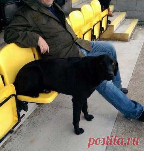 ❶ Юмор, фото, демотиваторы, анекдоты, шутки. – Сообщество – Google+