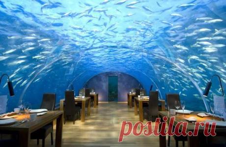 Рестораны с потрясающим видом | Burabai
Представьте, красное вино, заснеженные горы … или копченый стейк, в то время как вы наслаждаетесь панорамным видом на великолепный город… Я представляю вам выборку прекрасных ресторанов с самым захватывающим видом.