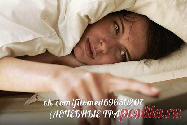 ЛЕЧЕБНЫЕ ТРАВЫ- Лечение народной медициной | ЗОЖ
