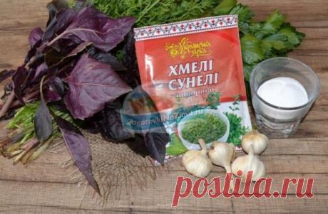 Пряная приправа из петрушки и базилика на зиму. Рецепт с пошаговыми фото