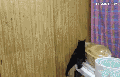 татьяна завольская – Google+