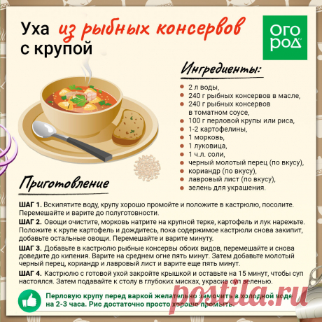 Уха из рыбных консервов с крупой