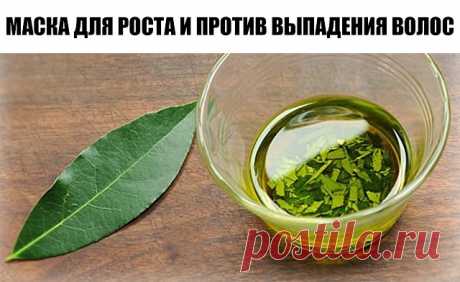 (6) Одноклассники