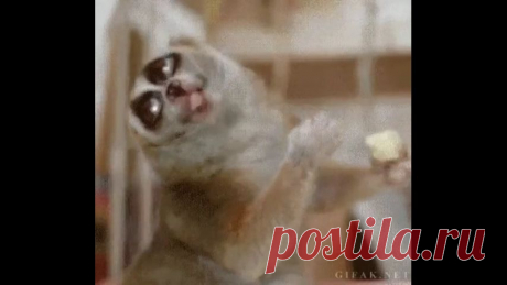 Вязание шапки и манишки спицами