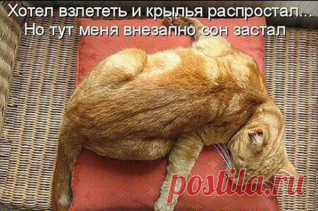 ♥♥Житейская мудрость ♥♥