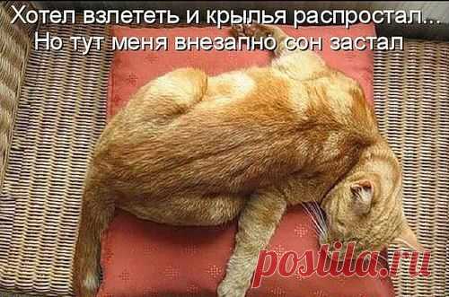 ♥♥Житейская мудрость ♥♥