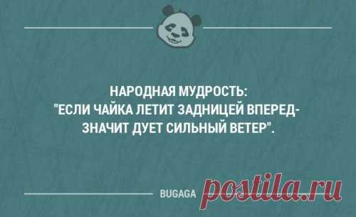 Смешные мысли и короткие анекдоты  (17 шт) Еще одна порция смешных и забавных фраз в картинках с надписями.
- Новый гот! Новый гот! - кричали готы возле роддома.



















