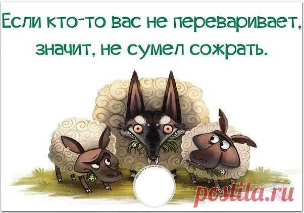 (4) Однокласники